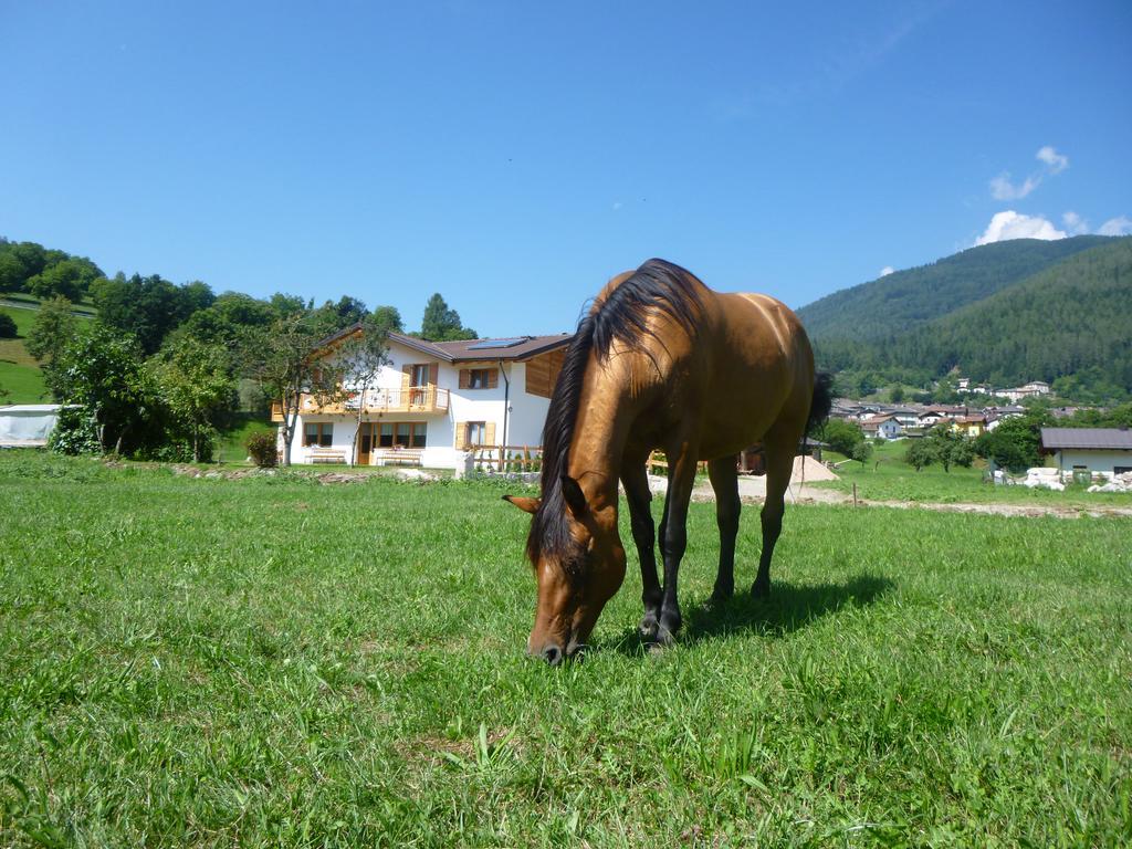 Agriturismo Fattoria Dalcastagne Torcegno エクステリア 写真