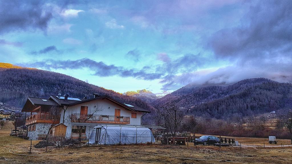 Agriturismo Fattoria Dalcastagne Torcegno エクステリア 写真