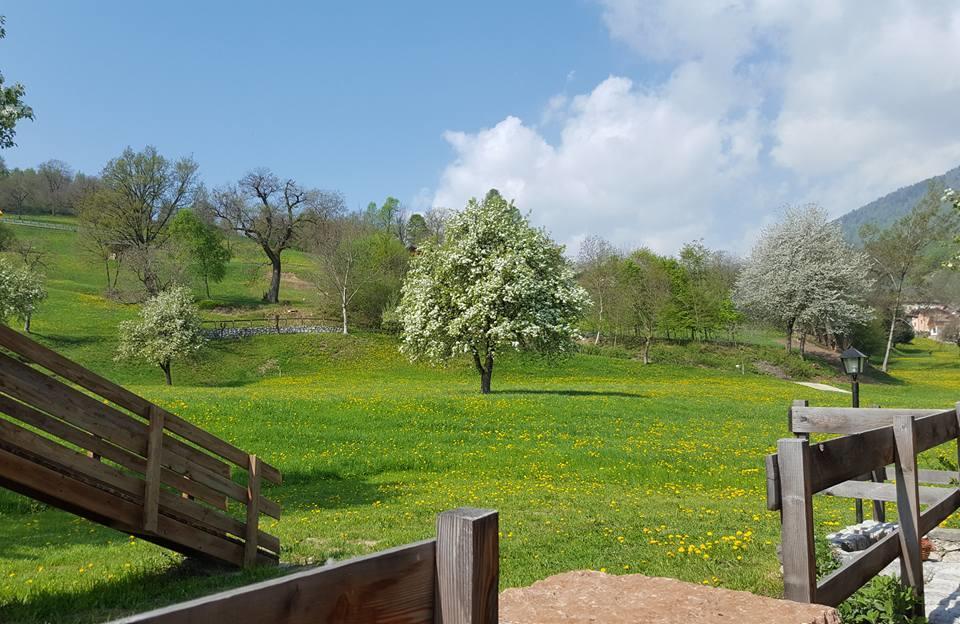 Agriturismo Fattoria Dalcastagne Torcegno エクステリア 写真