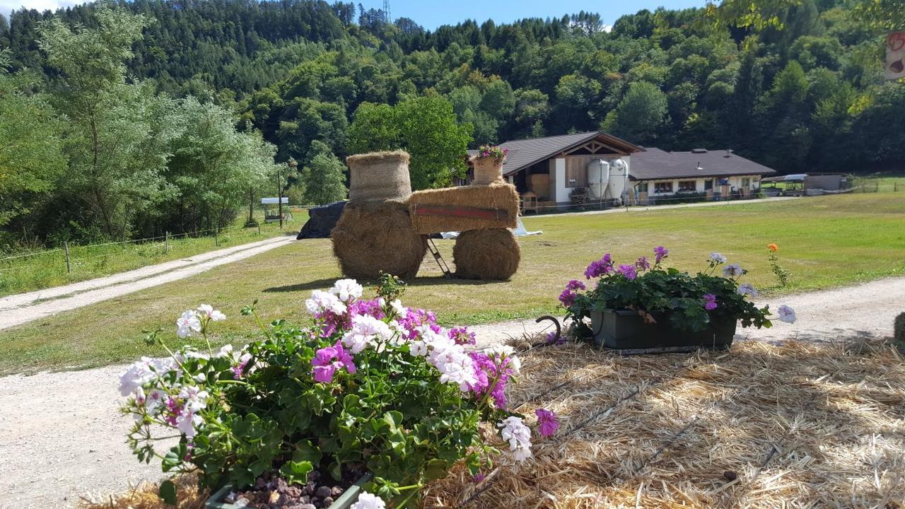 Agriturismo Fattoria Dalcastagne Torcegno エクステリア 写真