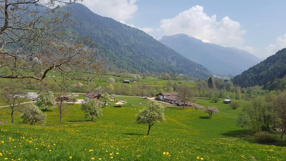 Agriturismo Fattoria Dalcastagne Torcegno エクステリア 写真